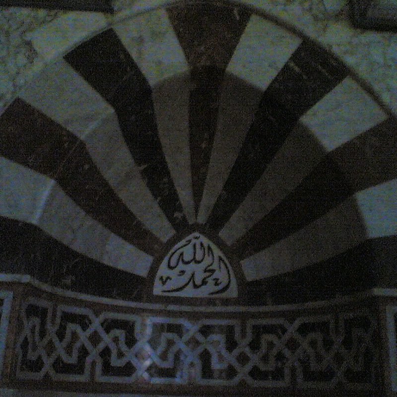 Copy of Image(095)